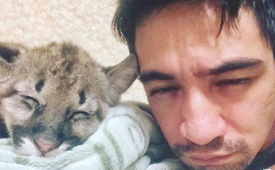 خبير حيوانات روسي يموت بالبث المباشر من لدغة افعى صورة رقم 9