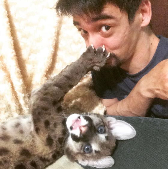 خبير حيوانات روسي يموت بالبث المباشر من لدغة افعى صورة رقم 13