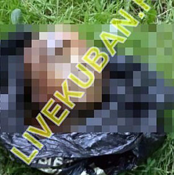 زوجان روسيان يأكلان لحوم البشر وصور لاشلاء امرأة تفضحهما! صورة رقم 14