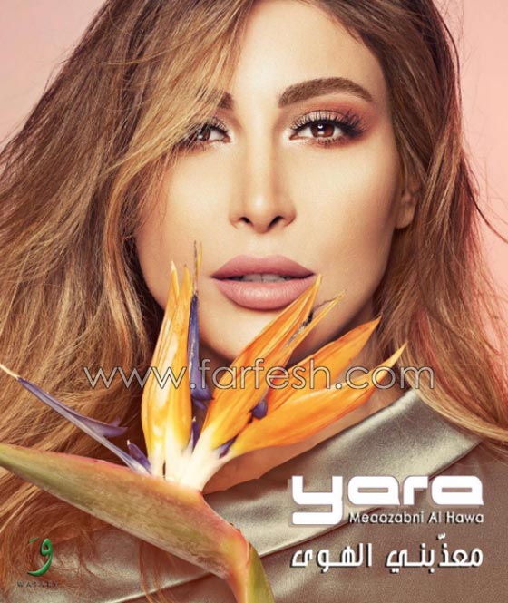 فيديو ساخر يكشف تطابق فيديو كليب يارا الجديد مع اعلان دعائي صورة رقم 16