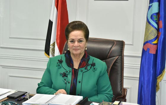 صراخ شديد قطع الحديث.. مسؤولة مصرية تتعرض لحادث سير أثناء مداخلة تلفزيونية صورة رقم 1