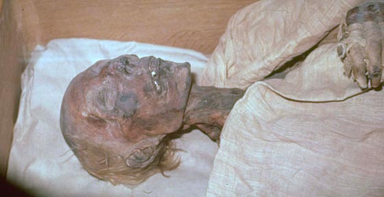 عالم دين أزهري: فرعون موسى أصله إيراني واسمه وليد! فيديو صورة رقم 1