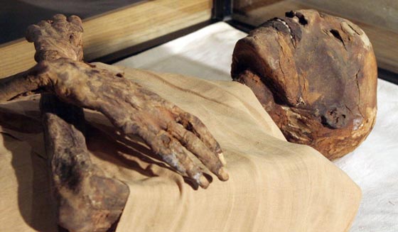 عالم دين أزهري: فرعون موسى أصله إيراني واسمه وليد! فيديو صورة رقم 2