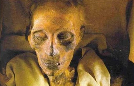 عالم دين أزهري: فرعون موسى أصله إيراني واسمه وليد! فيديو صورة رقم 3