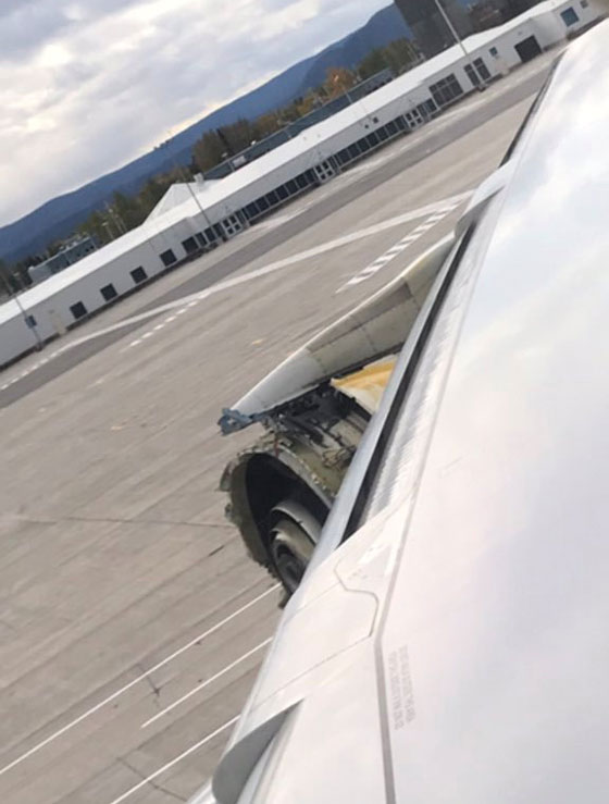 فيديو طائرة تهبط اضطراريا بسبب عطل خطير بالمحرك  صورة رقم 1