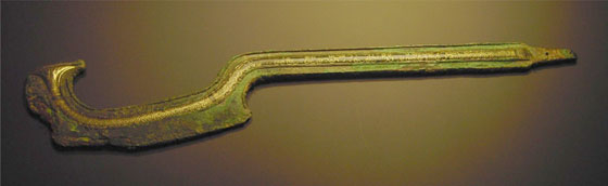 العثور على جيش فرعون الغارق بالقرب من البحر الاحمر صورة رقم 4