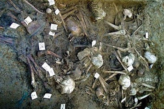 العثور على جيش فرعون الغارق بالقرب من البحر الاحمر صورة رقم 2