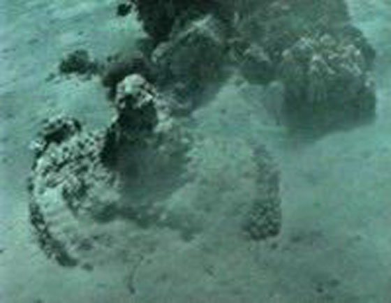 العثور على جيش فرعون الغارق بالقرب من البحر الاحمر صورة رقم 8