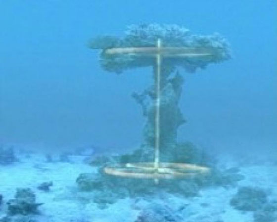 العثور على جيش فرعون الغارق بالقرب من البحر الاحمر صورة رقم 11