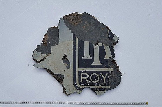 لغز اختفاء الطائرة الماليزية سيبقى مجهولا الى الأبد صورة رقم 10