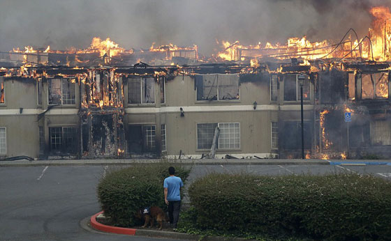 عشرات القتلى والجرحى في حرائق مدمرة تجتاح كاليفورنيا صورة رقم 17