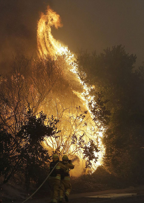 عشرات القتلى والجرحى في حرائق مدمرة تجتاح كاليفورنيا صورة رقم 27