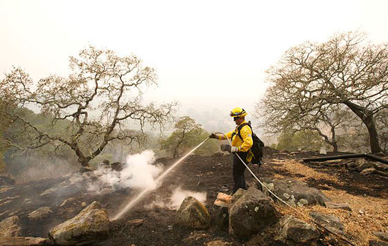 عشرات القتلى والجرحى في حرائق مدمرة تجتاح كاليفورنيا صورة رقم 33
