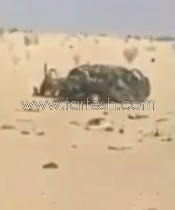 فيديو مروع.. شابان يوثقان لحظة وفاتهما بسبب انشغالهما بالهاتف صورة رقم 5 فيديو مروع.. شابان يوثقان لحظة وفاتهما بسبب انشغالهما بالهاتف صورة رقم 5