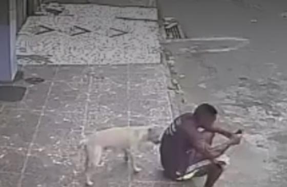 كلب تبول على شاب في الشارع.. ردة فعله ستفاجئك! فيديو صورة رقم 1 كلب تبول على شاب في الشارع.. ردة فعله ستفاجئك! فيديو صورة رقم 1