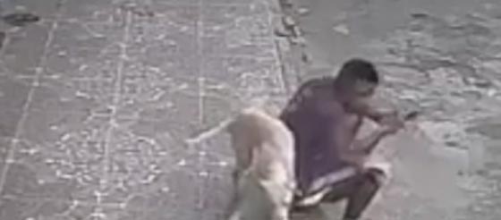 كلب تبول على شاب في الشارع.. ردة فعله ستفاجئك! فيديو صورة رقم 2 كلب تبول على شاب في الشارع.. ردة فعله ستفاجئك! فيديو صورة رقم 2