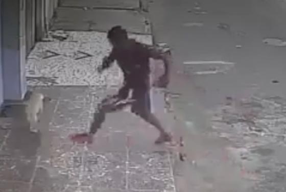 كلب تبول على شاب في الشارع.. ردة فعله ستفاجئك! فيديو صورة رقم 3 كلب تبول على شاب في الشارع.. ردة فعله ستفاجئك! فيديو صورة رقم 3