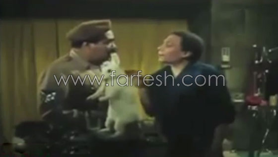 فيديو لأشهر الجمل بالأفلام المصرية أصبحت مفردات لدى المصريين صورة رقم 6