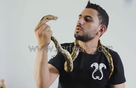 بالفيديو.. لحظة هجوم تفعى سامة على مروضها خلال مقابلة تلفزيونية صورة رقم 1 بالفيديو.. لحظة هجوم تفعى سامة على مروضها خلال مقابلة تلفزيونية صورة رقم 1