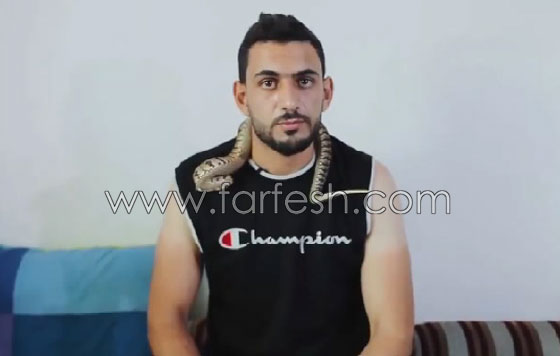 بالفيديو.. لحظة هجوم تفعى سامة على مروضها خلال مقابلة تلفزيونية صورة رقم 4 بالفيديو.. لحظة هجوم تفعى سامة على مروضها خلال مقابلة تلفزيونية صورة رقم 4