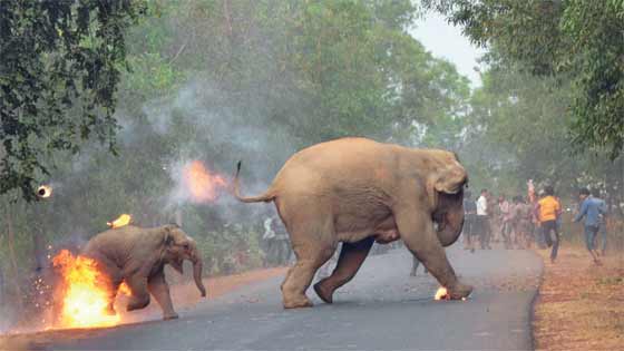 صورة بعنوان هنا الجحيم تحصد جائزة مرموقة صورة رقم 1 صورة بعنوان هنا الجحيم تحصد جائزة مرموقة صورة رقم 1