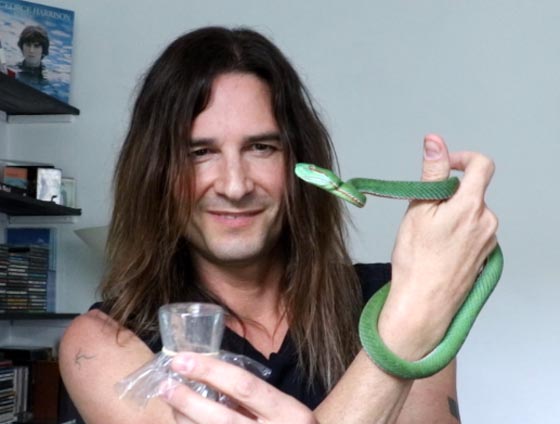 بالفيديو والصور.. موسيقي يحقن نفسه بسم ثعبان الكوبرا منذ 28 عاما! صورة رقم 10