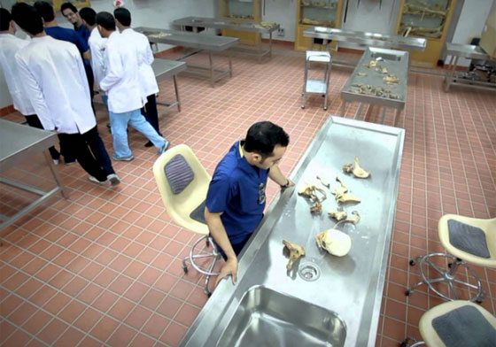 تعرفوا على أغرب أسباب اندلاع الثورات حول العالم صورة رقم 4 تعرفوا على أغرب أسباب اندلاع الثورات حول العالم صورة رقم 4