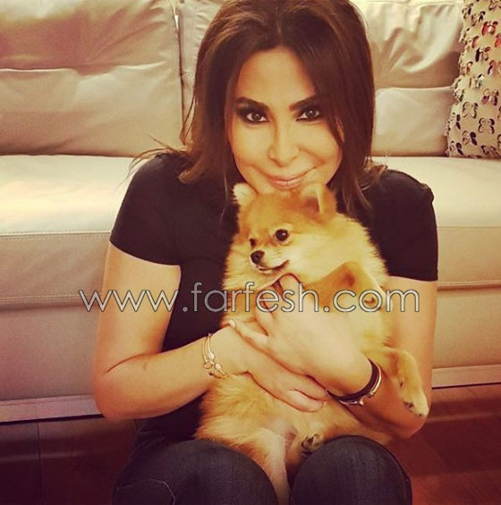 فارس أحلام اليسا: وسيم مبتسم عيونه ساحرة, والغيرة تقتل الحب! صورة رقم 5