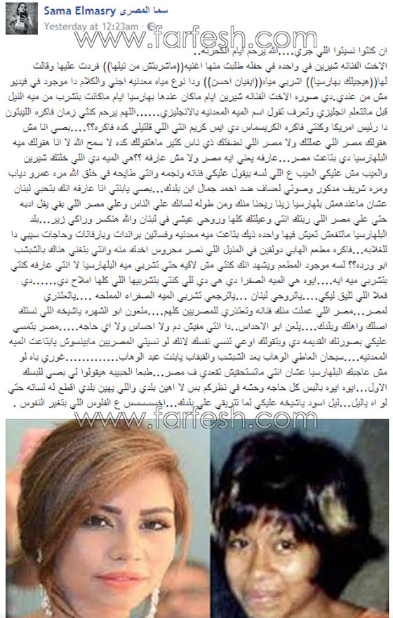فنانون هاجموا شيرين بقسوة و3 فنانات دافعن عنها.. وماذا قال الجمهور؟ صورة رقم 1