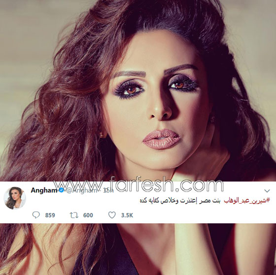 فنانون هاجموا شيرين بقسوة و3 فنانات دافعن عنها.. وماذا قال الجمهور؟ صورة رقم 4