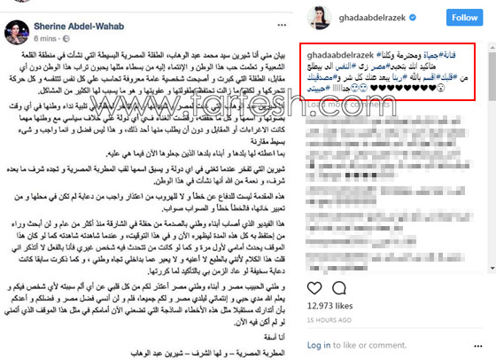 فنانون هاجموا شيرين بقسوة و3 فنانات دافعن عنها.. وماذا قال الجمهور؟ صورة رقم 5