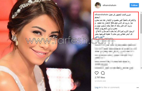 فنانون هاجموا شيرين بقسوة و3 فنانات دافعن عنها.. وماذا قال الجمهور؟ صورة رقم 6