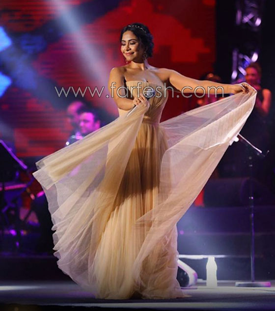 فنانون هاجموا شيرين بقسوة و3 فنانات دافعن عنها.. وماذا قال الجمهور؟ صورة رقم 9