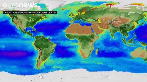فيديو مذهل.. شاهدوا تغير الفصول على الكرة الأرضية خلال 20 عاما صورة رقم 1 فيديو مذهل.. شاهدوا تغير الفصول على الكرة الأرضية خلال 20 عاما صورة رقم 1