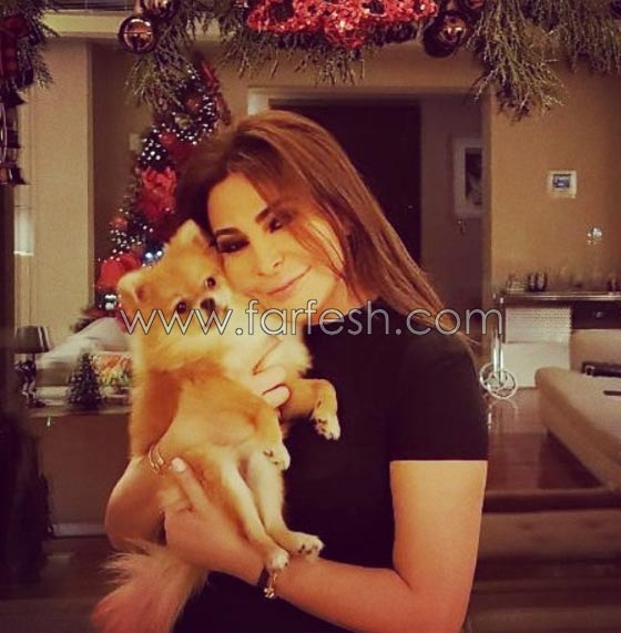  مسلسلات اون لاين خاص: صورة اليسا تكشف تقدمها في العمر والجمهور: (عجزتي يا ست الكل!) صورة رقم 5