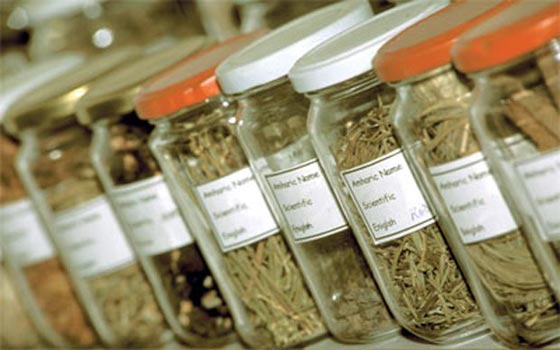 تعرفوا على أغرب المخدرات التي يتعاطاها الشباب العرب وحذّروهم من خطرها المميت! صورة رقم 5