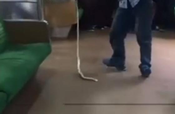 بالفيديو.. راكب يضع حد لحياة ثعبان في احد قطارات إندونيسيا صورة رقم 2