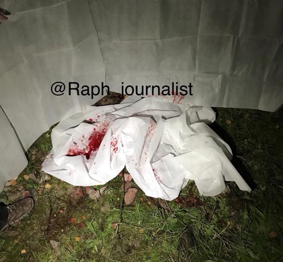 شاهدوا كيف كانت نهاية نمر فر من السيرك ليتجول بباريس صورة رقم 4 شاهدوا كيف كانت نهاية نمر فر من السيرك ليتجول بباريس صورة رقم 4