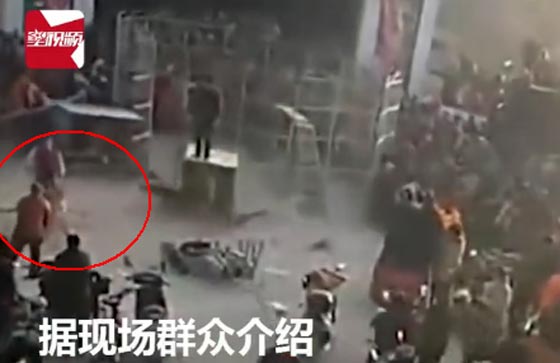 فيديو مروع.. نمر يهرب من القفص ويهاجم الجماهير في السيرك صورة رقم 3 فيديو مروع.. نمر يهرب من القفص ويهاجم الجماهير في السيرك صورة رقم 3