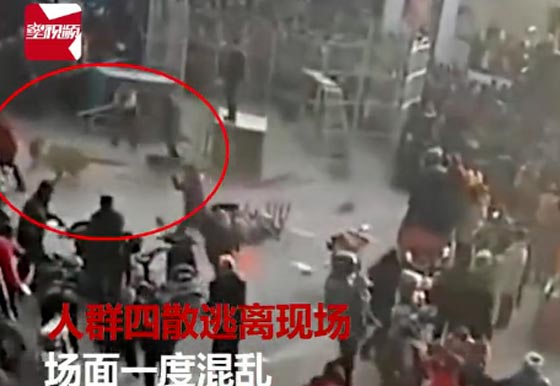 فيديو مروع.. نمر يهرب من القفص ويهاجم الجماهير في السيرك صورة رقم 4 فيديو مروع.. نمر يهرب من القفص ويهاجم الجماهير في السيرك صورة رقم 4