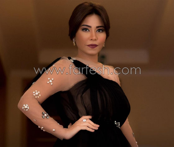  فضيحة فيديو شيرين لم تنتهي: النيابة تتابع محاكمتها بتهمة الإساءة لمصر صورة رقم 7