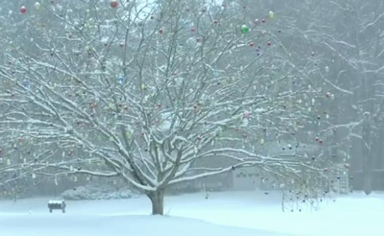 قنبلة من نوع آخر تجتاج نيويورك بأرقام قياسية صورة رقم 1 قنبلة من نوع آخر تجتاج نيويورك بأرقام قياسية صورة رقم 1