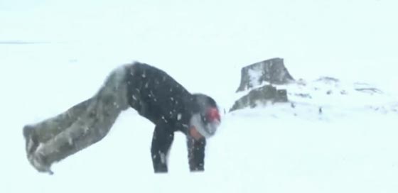 قنبلة من نوع آخر تجتاج نيويورك بأرقام قياسية صورة رقم 5 قنبلة من نوع آخر تجتاج نيويورك بأرقام قياسية صورة رقم 5