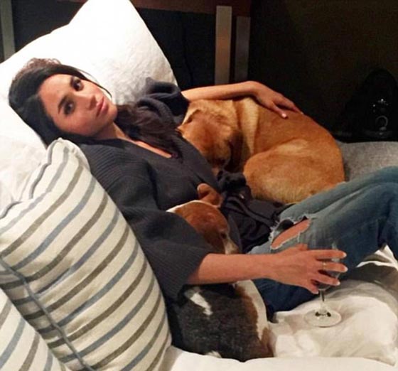 8 امور ستحرم منها الدوقة المستقبلية ماركل بعد الزواج من الأمير هاري! صورة رقم 4 8 امور ستحرم منها الدوقة المستقبلية ماركل بعد الزواج من الأمير هاري! صورة رقم 4