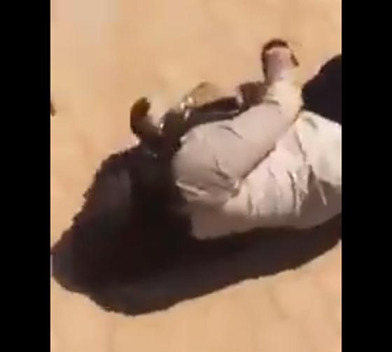 بالفيديو.. رئيس جامعة يعتدي بالضرب على طالبتين خلال مظاهرة صورة رقم 3 بالفيديو.. رئيس جامعة يعتدي بالضرب على طالبتين خلال مظاهرة صورة رقم 3