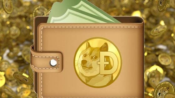 من البيتكوين إلى الدوغ كوين العملات الرقمية تجتاح العالم .. فيديو  صورة رقم 4