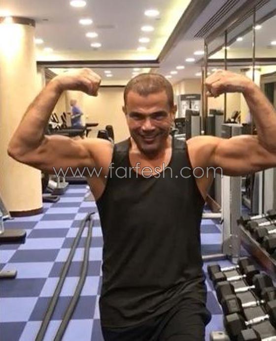 تعليق عمرو أديب على عمرو دياب يثير جدلاً واسعاً.. فيديو صورة رقم 2