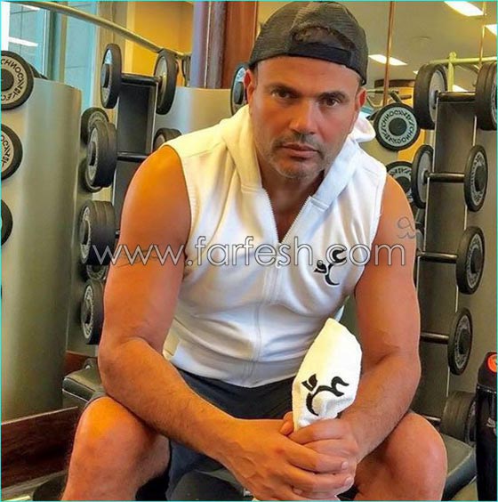 تعليق عمرو أديب على عمرو دياب يثير جدلاً واسعاً.. فيديو صورة رقم 3