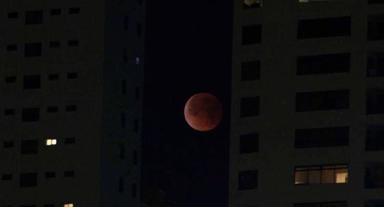 صور مدهشة للقمر الدموي العملاق حول العالم صورة رقم 4