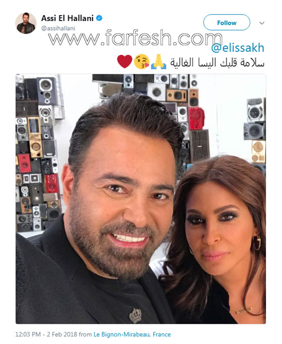 بالفيديو: اليسا تفقد الوعي على المسرح في دبي فجأة وسط صراخ الجمهور صورة رقم 4